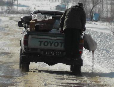 Yabani hayvanlara sahip çıkılıyor