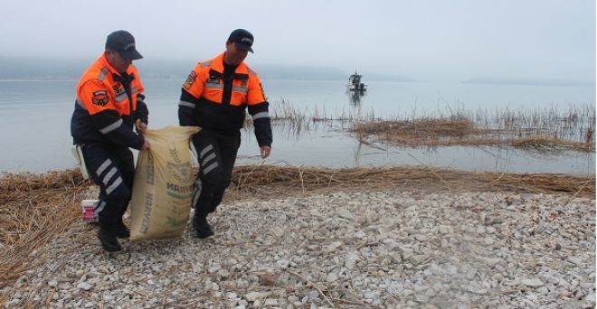 Tavşanlara Jandarma sahip çıktı