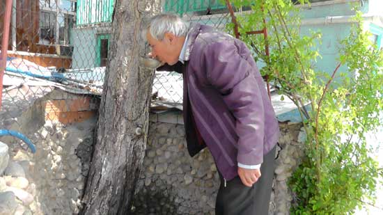 Bu Ağaçtan Su Akıyor 