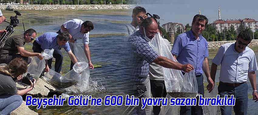 Beyşehir Gölü’ne 600 bin yavru sazan bırakıldı