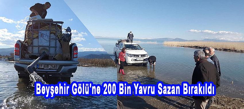 Beyşehir Gölü'ne 200 Bin Yavru Sazan Takviyesi