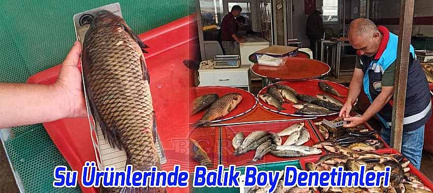 Beyşehir'de Balık Boy Denetimi Gerçekleştirildi