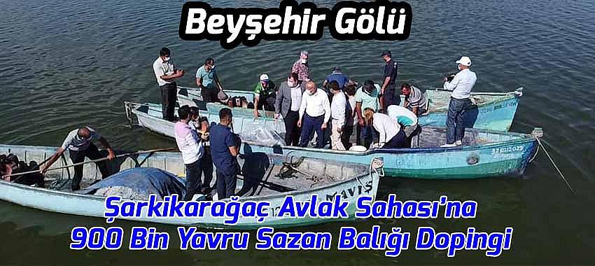 Beyşehir Gölü Şarkikarağaç Avlak Sahası’na 900 Bin Yavru Sazan Balığı Dopingi