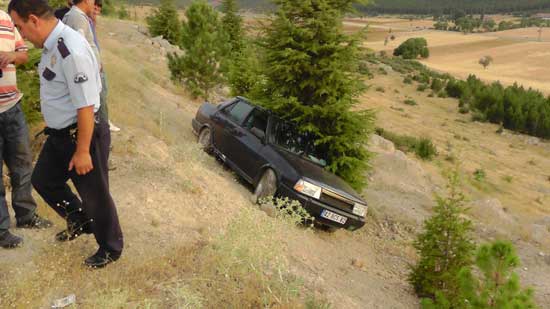 Otomobili uçuruma yuvarlanmaktan sedir ağacı kurtardı 