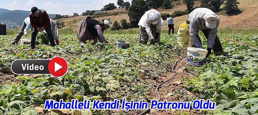 Mahalleli Kendi İşinin Patronu Oldu