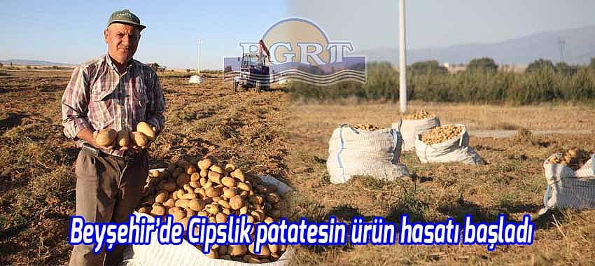 Beyşehir’de Cipslik patatesin ürün hasatı başladı