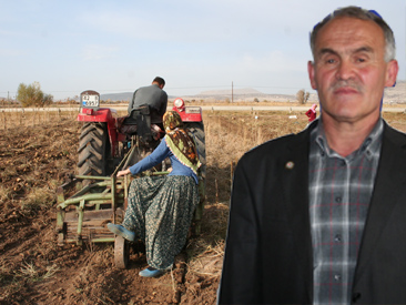 Beyşehir çiftçisi zeoliti keşfetti