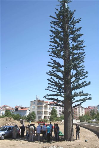 Ağaç Görünümlü Baz İstasyonuna Tepki