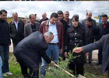 Milletvekili adayları fidan dikti 