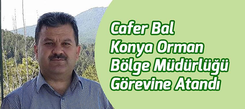 Cafer Bal, Konya Orman Bölge Müdürlüğü Görevine Atandı
