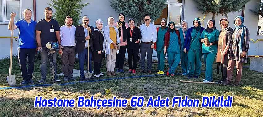 Hastane Bahçesine 60 Adet Paulownia Fidan Dikildi