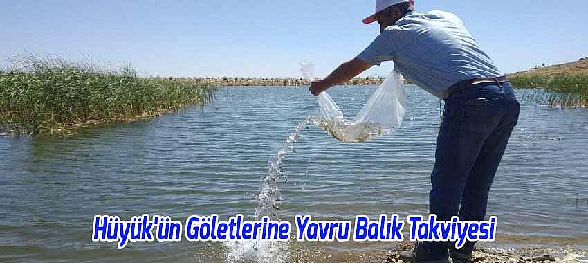 Hüyük'ün Göletlerine Yavru Balık Takviyesi