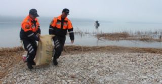 Tavşanlara Jandarma sahip çıktı