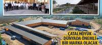 Başkan Altay, 'Çatalhöyük Dünyada Önemli Bir Marka Olacak'