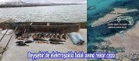 Beyşehir'de elektroşokla balık avına rekor ceza
