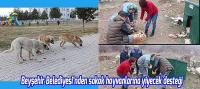 Beyşehir Belediyesi’nden sokak hayvanlarına yiyecek desteği