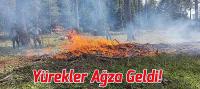 Beyşehir'de ormanlık alanda çıkan yangın, Yürekleri Ağza Getirdi