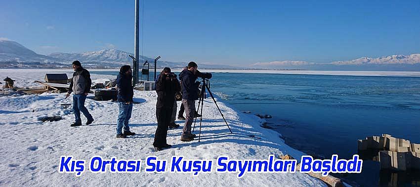 Kış Ortası Su Kuşu Sayımları Başladı