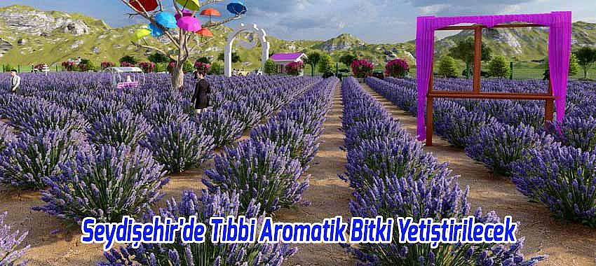 Seydişehir'de Tıbbi Aromatik Bitki Yetiştirilecek