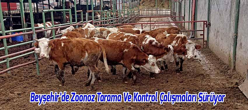 Beyşehir’de Zoonoz Tarama Ve Kontrol Çalışmaları
