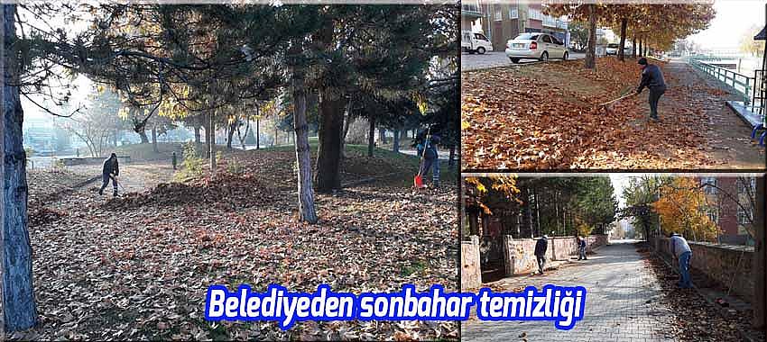 Belediyeden sonbahar temizliği