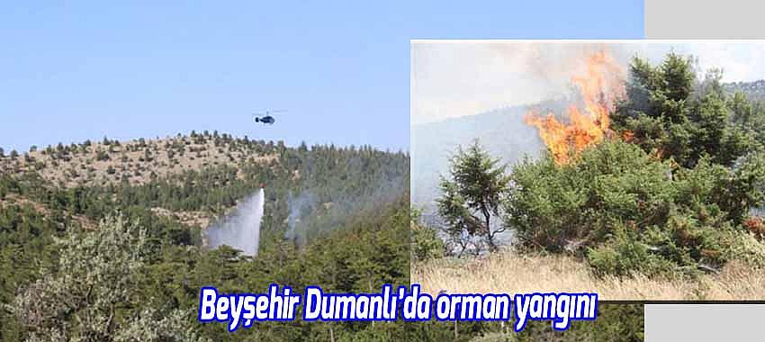 Beyşehir Dumanlı'da orman yangını!
