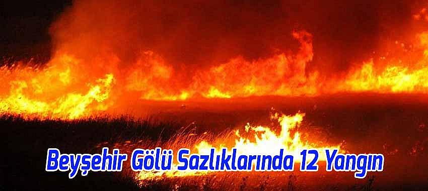 Beyşehir Gölü Sazlıklarında Aynı Saatlerde 12 Yangın Çıktı