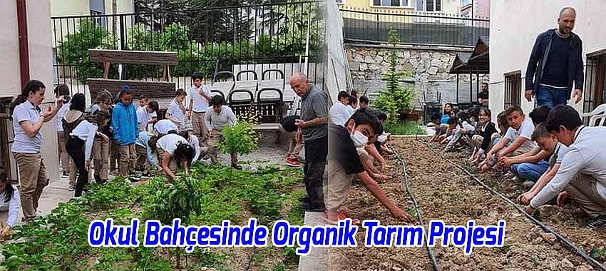 Okul Bahçesinde Organik Tarım Projesi