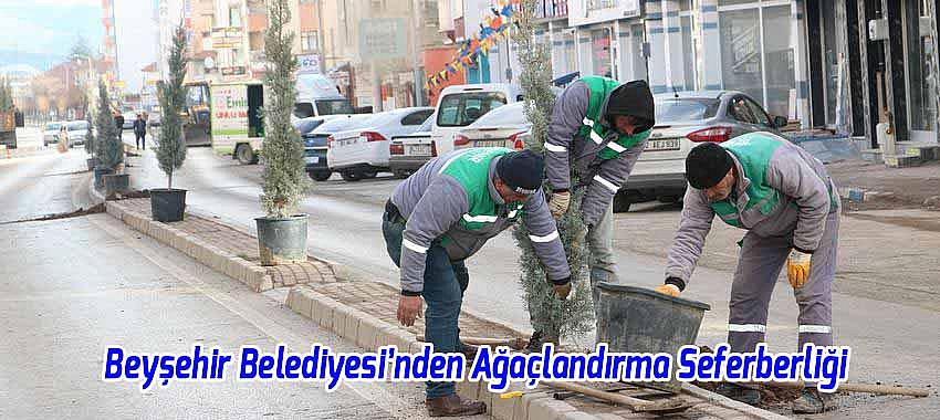 Beyşehir Belediyesi Ağaçlandırma Çalışmalarını Sürdürüyor