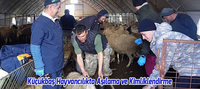 Kategori Haberleri