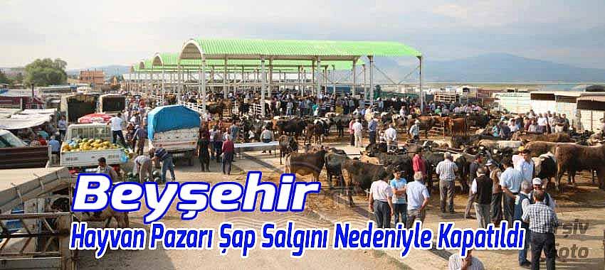 Beyşehir Hayvan Pazarı Şap Salgını Nedeniyle Kapatıldı