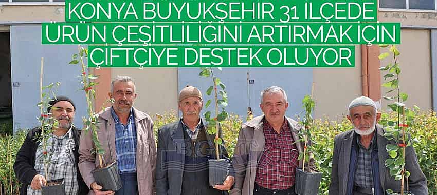 Konya Büyükşehir 31 İlçede Ürün Çeşitliliğini Artırmak İçin Çiftçiye Destek Oluyor