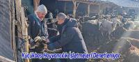 Beyşehir’de Küçükbaş Hayvancılık İşletmeleri Denetleniyor