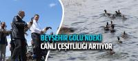 Beyşehir Gölü'ndeki Canlı Çeşitliliği Artıyor