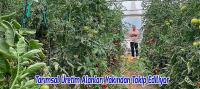 Beyşehir’de Tarımsal Üretim Alanları Yakından Takip Ediliyor
