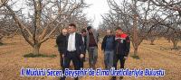 İl Müdürü Seçen, Beyşehir'de Elma Bahçesini Gezdi