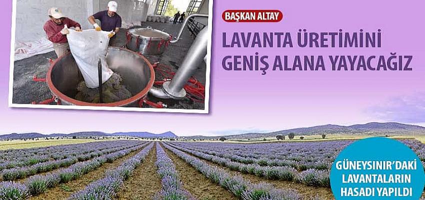 Başkan Altay: Lavanta Üretimini Geniş Alana Yayacağız