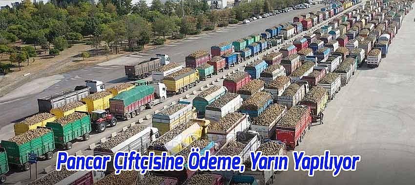 Pancar Çiftçisine Ödemeler Yarın Yapılıyor