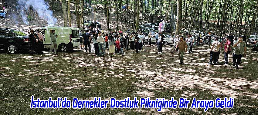 İmrenler ve Burunsuz Dernekleri Dostluk Pikniğinde Bir Araya Geldi