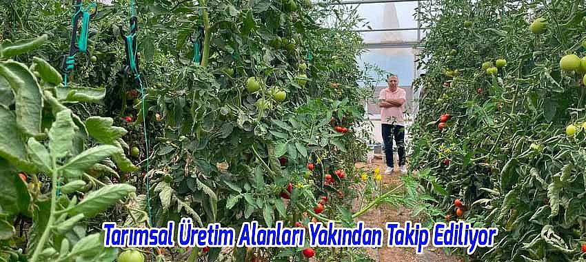Kategori Haberleri