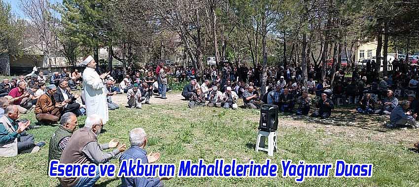 Kategori Haberleri